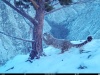��� ������ � ������� ������ � �����-��������� �����������?